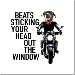 Dog On Motorcycle Posters and Art